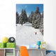 Snowboarder Wall Mural