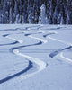 Tracks in Snow Wall Mural