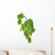 Plant Hop on  White Background Wall Decal