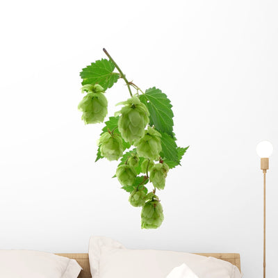 Plant Hop White Wall Decal shown on a wall