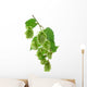 Plant Hop on  White Background Wall Decal