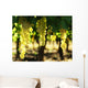 Grapes Wall Mural
