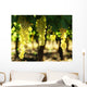 Grapes Wall Mural