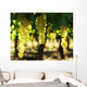 Grapes Wall Mural