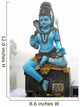 Shiva statue Wall Mural