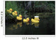 Rubber Ducks In A Row Pond Southcentral Alaska Wall Mural
