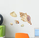 Watercolor Seashells 2 Wall Decal Sticker Set