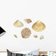 Watercolor Seashells 1 Wall Decal Sticker Set