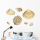 Watercolor Seashells 1 Wall Decal Sticker Set