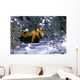 A Moose Belly Deep Wall Mural