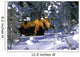 A Moose Belly Deep Wall Mural