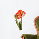 Amaryllis Wall Decal