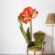 Amaryllis Wall Decal