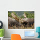 Two Bull Moose Alces Wall Decal