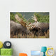 Two Bull Moose Alces Wall Decal