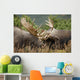 Two Bull Moose Alces Wall Decal