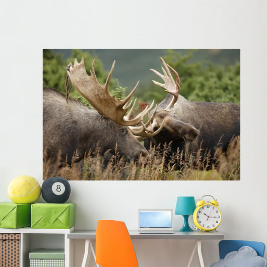 Two Bull Moose Alces Wall Decal