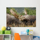 Two Bull Moose Alces Wall Decal