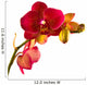 Orange Phalaenopsis Orchid Wall Decal