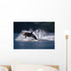Double Breaching Orcas Wall Mural