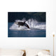 Double Breaching Orcas Wall Mural