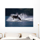 Double Breaching Orcas Wall Mural