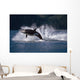 Double Breaching Orcas Wall Mural