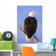 Bald Eagle Perched Wall Mural