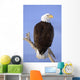 Bald Eagle Perched Wall Mural