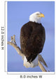 Bald Eagle Perched Wall Mural