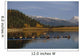Caribou Herd Swimming Wall Mural