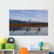 Caribou Bulls Swimming Wall Mural