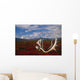 Caribou Skull & Antlers Laying Wall Mural