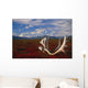Caribou Skull & Antlers Laying Wall Mural