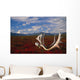 Caribou Skull & Antlers Laying Wall Mural