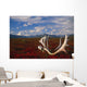 Caribou Skull & Antlers Laying Wall Mural