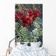 Close Up Of Spruce Needles & Mountain Ash Berries Wall Mural