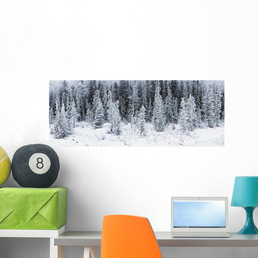 Panoramic View Of Hoar Frost Covered Spruce Trees Wall Mural