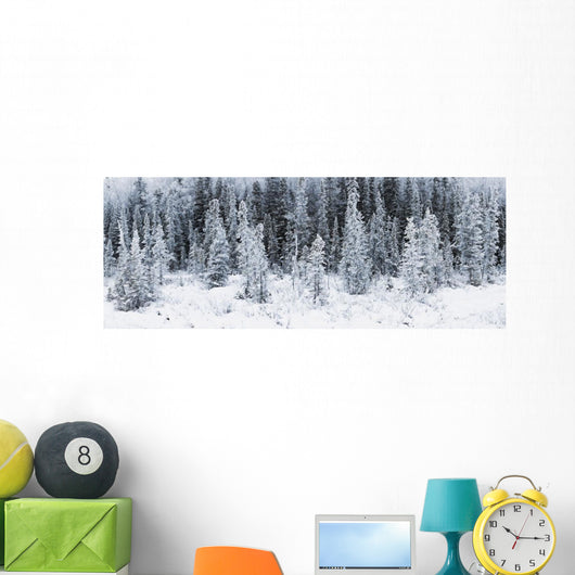 Panoramic View Of Hoar Frost Covered Spruce Trees Wall Mural