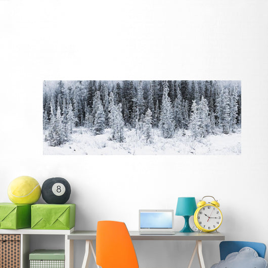 Panoramic View Of Hoar Frost Covered Spruce Trees Wall Mural