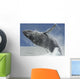 Humpback Whale Breaching Near Juneau During Summer In Southeast Alaska Wall Mural
