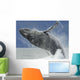 Humpback Whale Breaching Near Juneau During Summer In Southeast Alaska Wall Mural