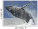 Humpback Whale Breaching Near Juneau During Summer In Southeast Alaska Wall Mural