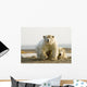 Female Polar Bear Defending Yearling Cub On Barrier Island Wall Mural