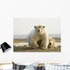 Female Polar Bear Defending Yearling Cub On Barrier Island Wall Mural