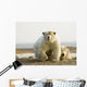 Female Polar Bear Defending Yearling Cub On Barrier Island Wall Mural