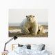 Female Polar Bear Defending Yearling Cub On Barrier Island Wall Mural
