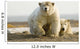 Female Polar Bear Defending Yearling Cub On Barrier Island Wall Mural