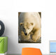 Polar Bear Walking Into The Coastal Waters Near Kaktovik, Alaska Wall Mural