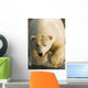 Polar Bear Walking Into The Coastal Waters Near Kaktovik, Alaska Wall Mural